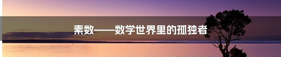 素数——数学世界里的孤独者