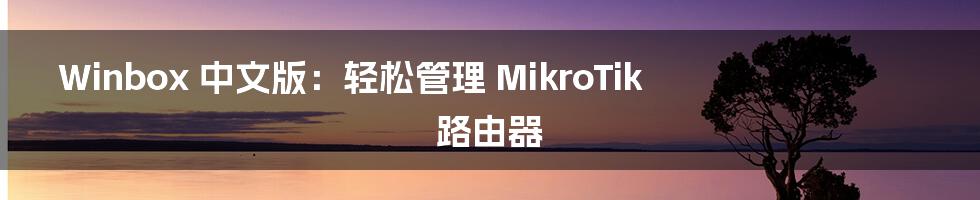 Winbox 中文版：轻松管理 MikroTik 路由器