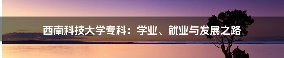 西南科技大学专科：学业、就业与发展之路