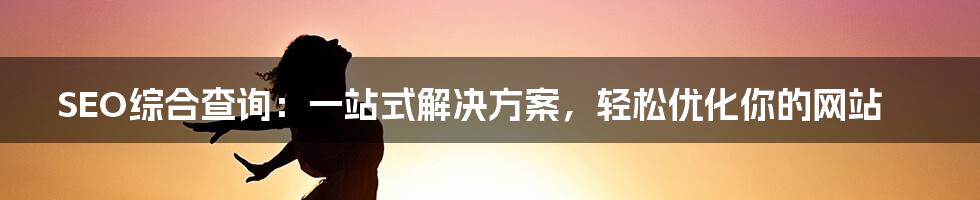 SEO综合查询：一站式解决方案，轻松优化你的网站