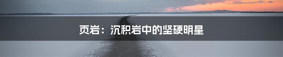 页岩：沉积岩中的坚硬明星