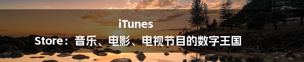 iTunes Store：音乐、电影、电视节目的数字王国