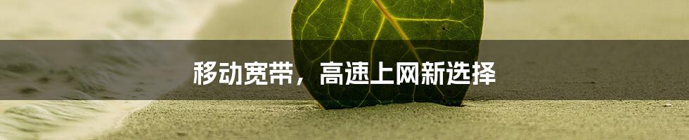 移动宽带，高速上网新选择