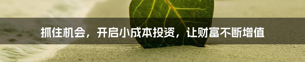 抓住机会，开启小成本投资，让财富不断增值