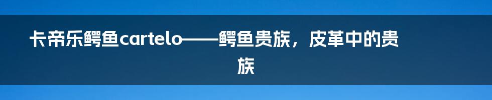 卡帝乐鳄鱼cartelo——鳄鱼贵族，皮革中的贵族