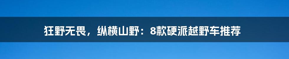 狂野无畏，纵横山野：8款硬派越野车推荐