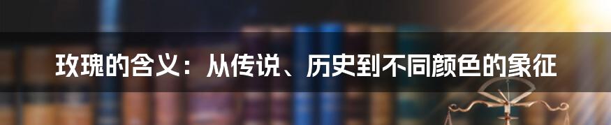 玫瑰的含义：从传说、历史到不同颜色的象征