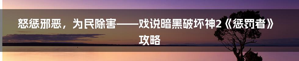 怒惩邪恶，为民除害——戏说暗黑破坏神2《惩罚者》攻略