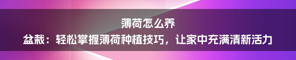 薄荷怎么养 盆栽：轻松掌握薄荷种植技巧，让家中充满清新活力