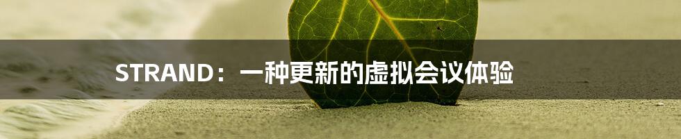 STRAND：一种更新的虚拟会议体验