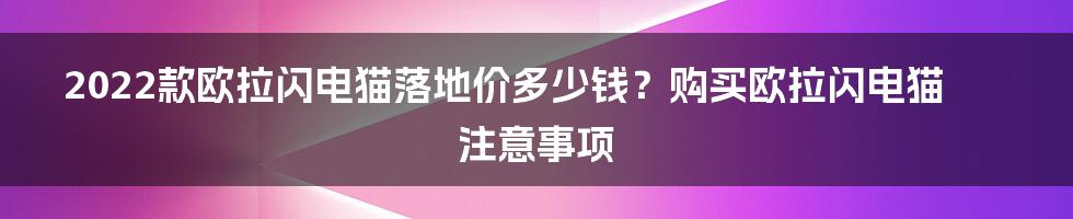 2022款欧拉闪电猫落地价多少钱？购买欧拉闪电猫注意事项