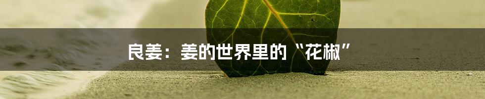 良姜：姜的世界里的“花椒”