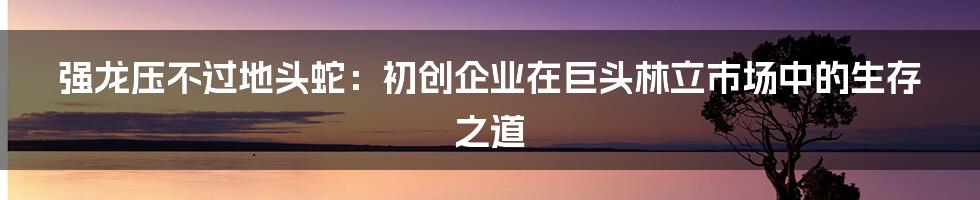 强龙压不过地头蛇：初创企业在巨头林立市场中的生存之道