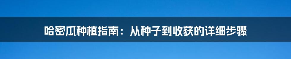 哈密瓜种植指南：从种子到收获的详细步骤