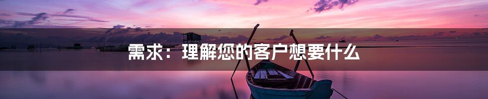 需求：理解您的客户想要什么