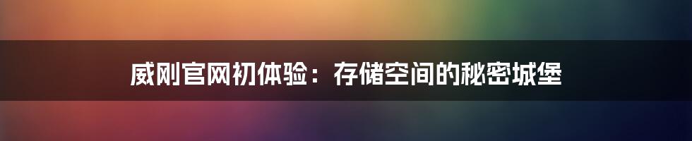 威刚官网初体验：存储空间的秘密城堡