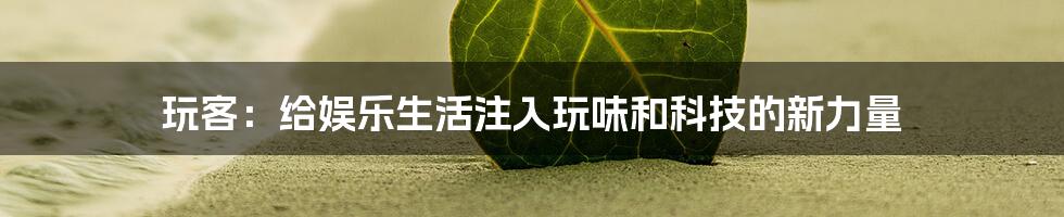 玩客：给娱乐生活注入玩味和科技的新力量