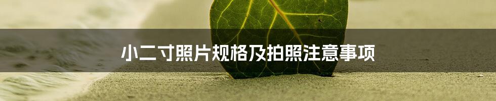 小二寸照片规格及拍照注意事项