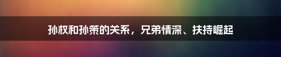 孙权和孙策的关系，兄弟情深、扶持崛起