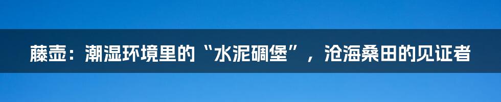 藤壶：潮湿环境里的“水泥碉堡”，沧海桑田的见证者