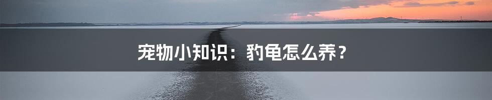 宠物小知识：豹龟怎么养？