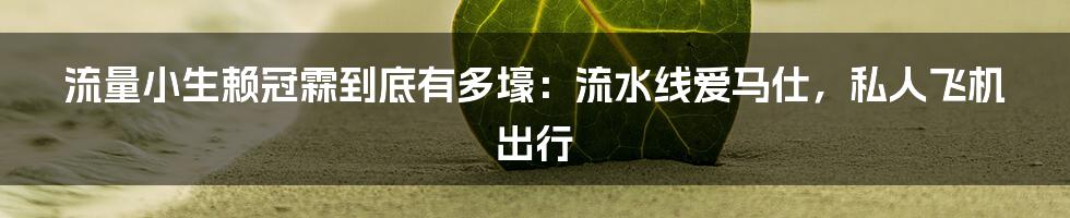 流量小生赖冠霖到底有多壕：流水线爱马仕，私人飞机出行