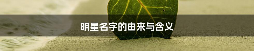 明星名字的由来与含义