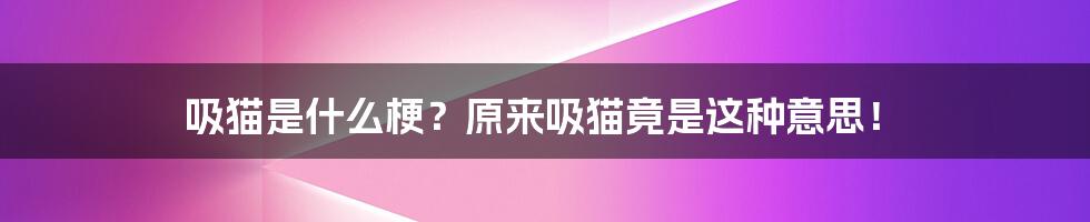 吸猫是什么梗？原来吸猫竟是这种意思！