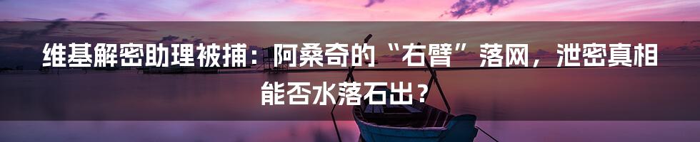 维基解密助理被捕：阿桑奇的“右臂”落网，泄密真相能否水落石出？