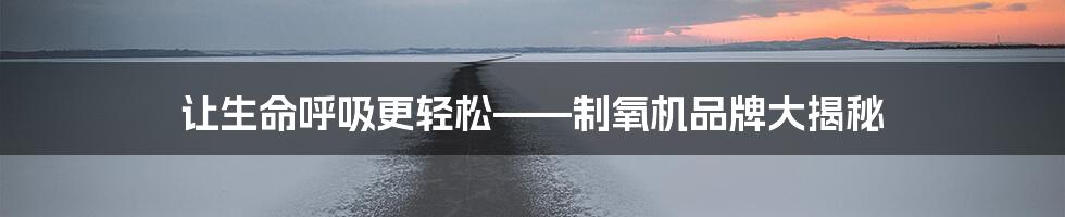 让生命呼吸更轻松——制氧机品牌大揭秘