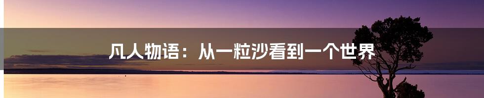 凡人物语：从一粒沙看到一个世界