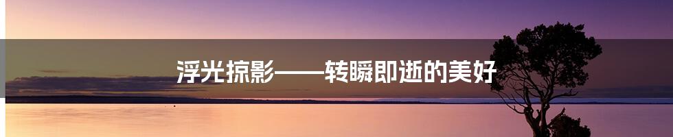 浮光掠影——转瞬即逝的美好