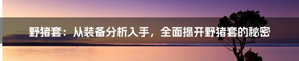 野猪套：从装备分析入手，全面揭开野猪套的秘密