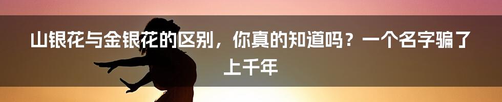 山银花与金银花的区别，你真的知道吗？一个名字骗了上千年