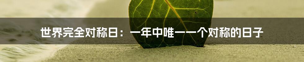 世界完全对称日：一年中唯一一个对称的日子