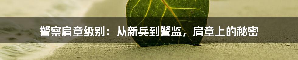 警察肩章级别：从新兵到警监，肩章上的秘密