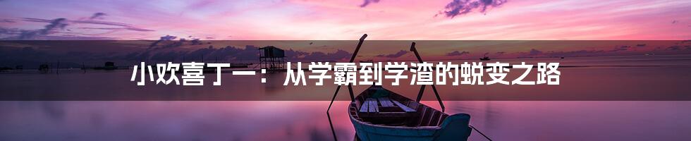 小欢喜丁一：从学霸到学渣的蜕变之路