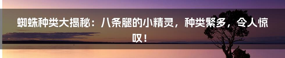 蜘蛛种类大揭秘：八条腿的小精灵，种类繁多，令人惊叹！