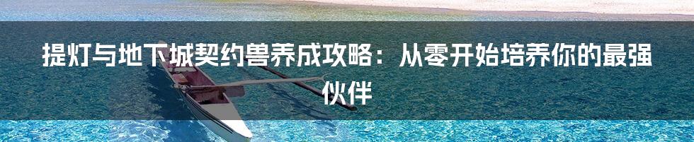 提灯与地下城契约兽养成攻略：从零开始培养你的最强伙伴