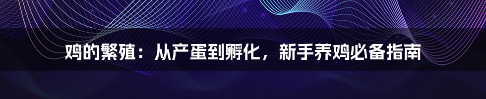 鸡的繁殖：从产蛋到孵化，新手养鸡必备指南