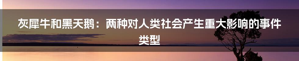 灰犀牛和黑天鹅：两种对人类社会产生重大影响的事件类型