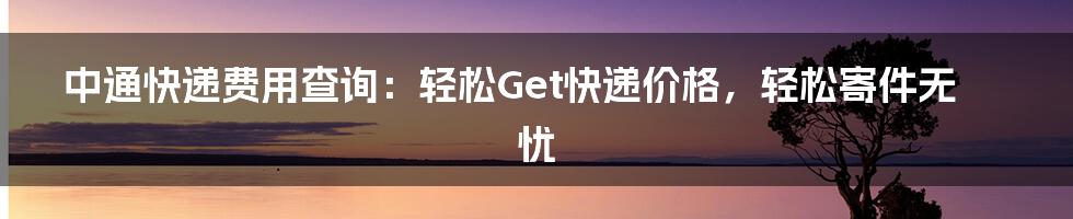 中通快递费用查询：轻松Get快递价格，轻松寄件无忧