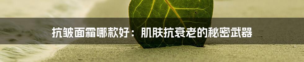 抗皱面霜哪款好：肌肤抗衰老的秘密武器