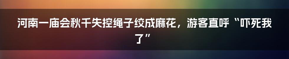 河南一庙会秋千失控绳子绞成麻花，游客直呼“吓死我了”