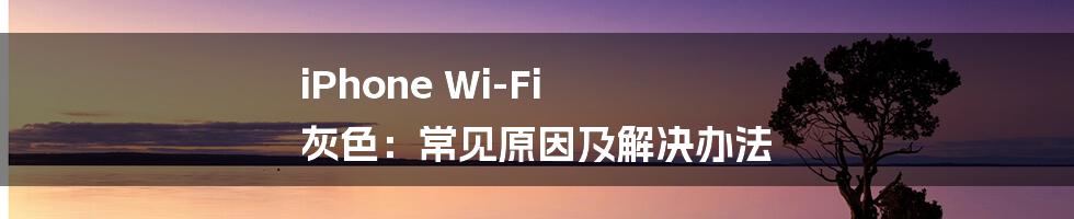 iPhone Wi-Fi 灰色：常见原因及解决办法