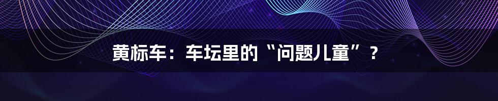 黄标车：车坛里的“问题儿童”？