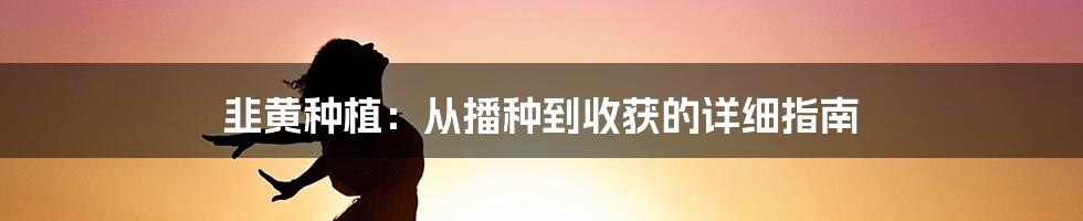 韭黄种植：从播种到收获的详细指南