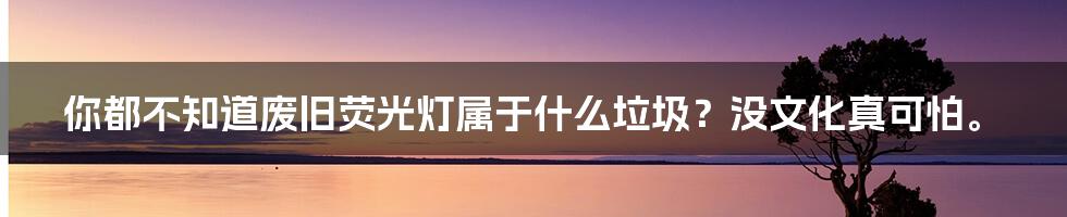 你都不知道废旧荧光灯属于什么垃圾？没文化真可怕。