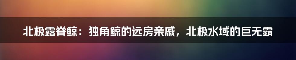 北极露脊鲸：独角鲸的远房亲戚，北极水域的巨无霸