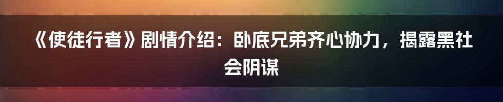 《使徒行者》剧情介绍：卧底兄弟齐心协力，揭露黑社会阴谋